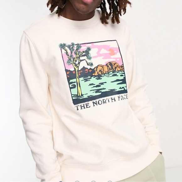 The North Face ASOS Graphic Injection Chest Print Sweatshirt Small - Picture 1 of 6